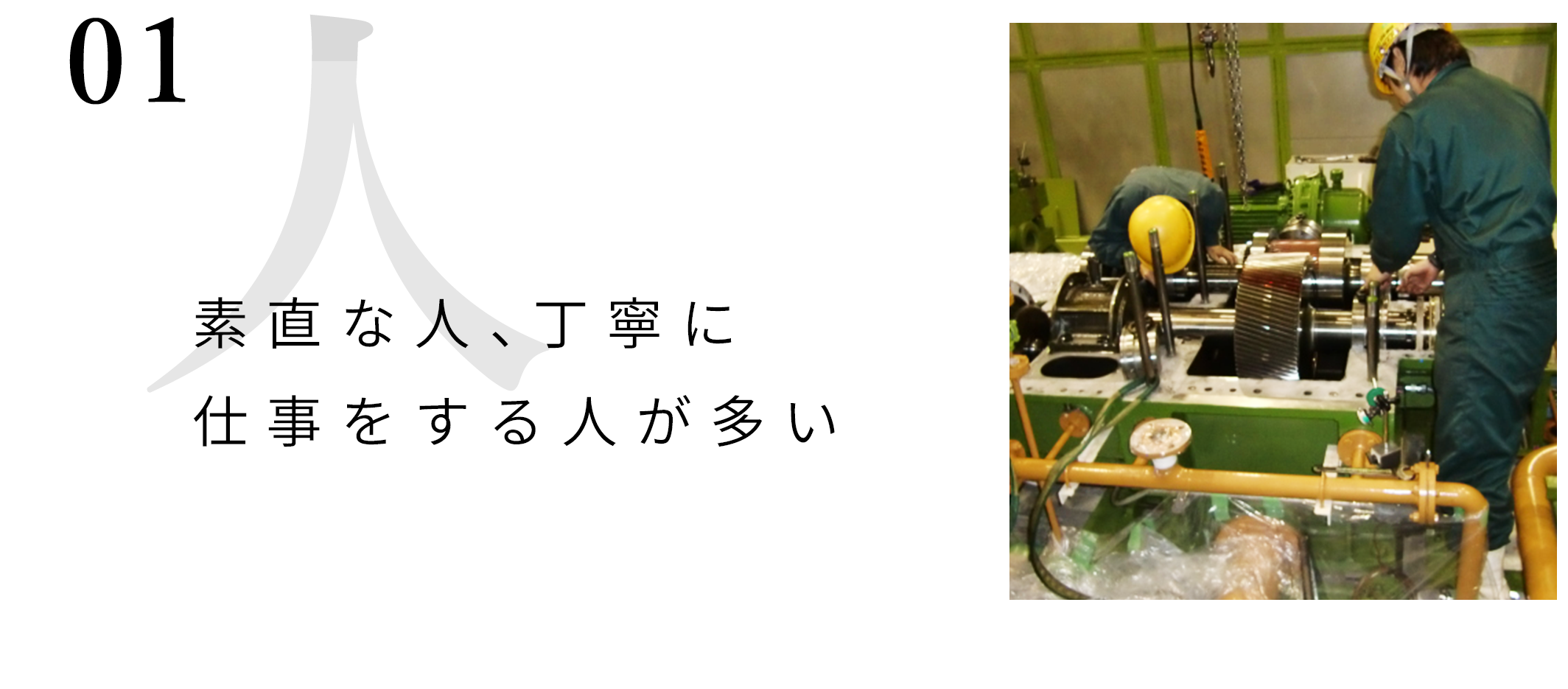 素直な人、丁寧に仕事をする人が多い